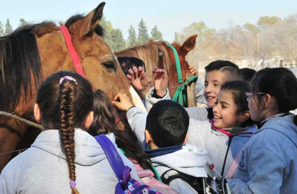 Primera expo rural en la Base Naval Puerto Belgrano