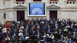 La Cámara de Diputados trata el veto a la emergencia en discapacidad (Foto: HCDN)