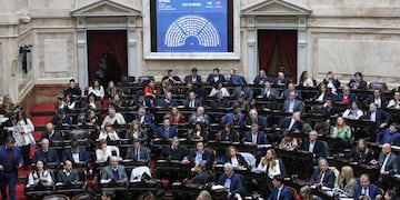 La Cámara de Diputados trata el veto a la emergencia en discapacidad (Foto: HCDN)