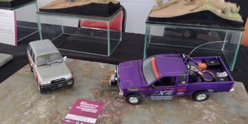 Coleccionistas exhiben sus tesoros maravillosos en Godoy Cruz. Foto: Gentileza.