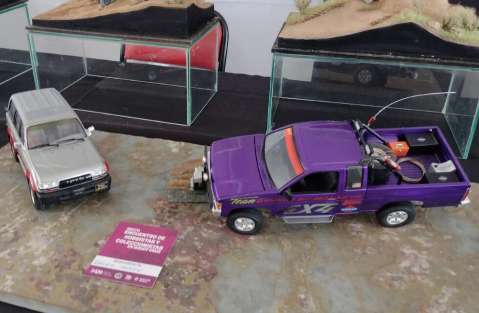 Un paseo ideal para fanáticos: coleccionistas lucen sus tesoros en Godoy Cruz y para todo público