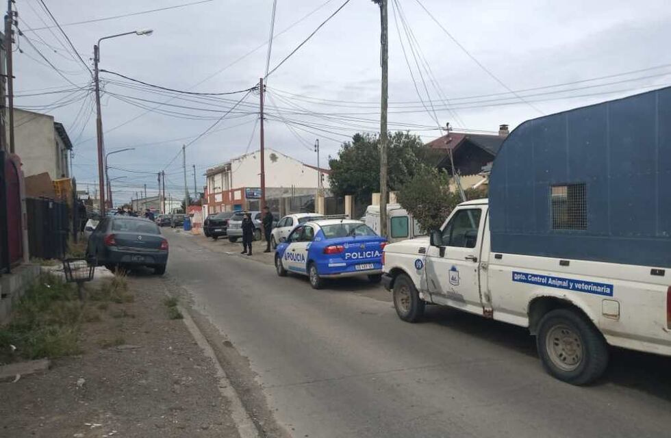 Rio Gallegos: un perro Boxer atacó a una mujer, su dueño fue denunciado y el perro fue resguardado