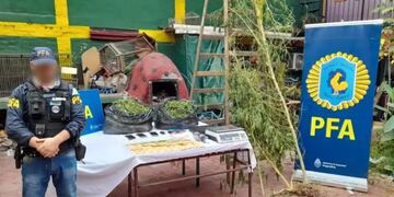 Desbarataron a una banda narco en Mendoza: secuestraron 78 kilos de marihuana