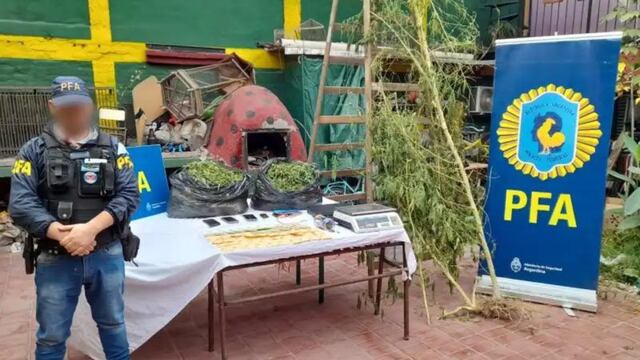 Desbarataron a una banda narco en Mendoza: secuestraron 78 kilos de marihuana