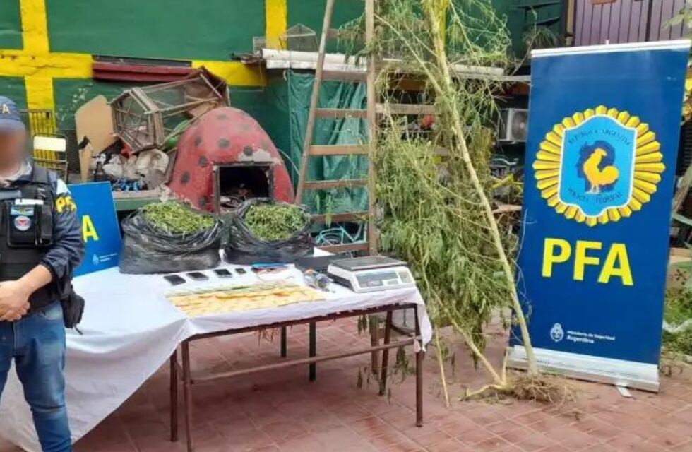 Desbarataron a una banda narco en Mendoza: secuestraron 78 kilos de marihuana