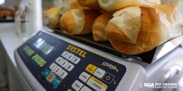 Continúa el Programa Municipal “Pan en tu Mesa”