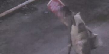 El sujeto fue detenido por el robo de carteles de un comercio.