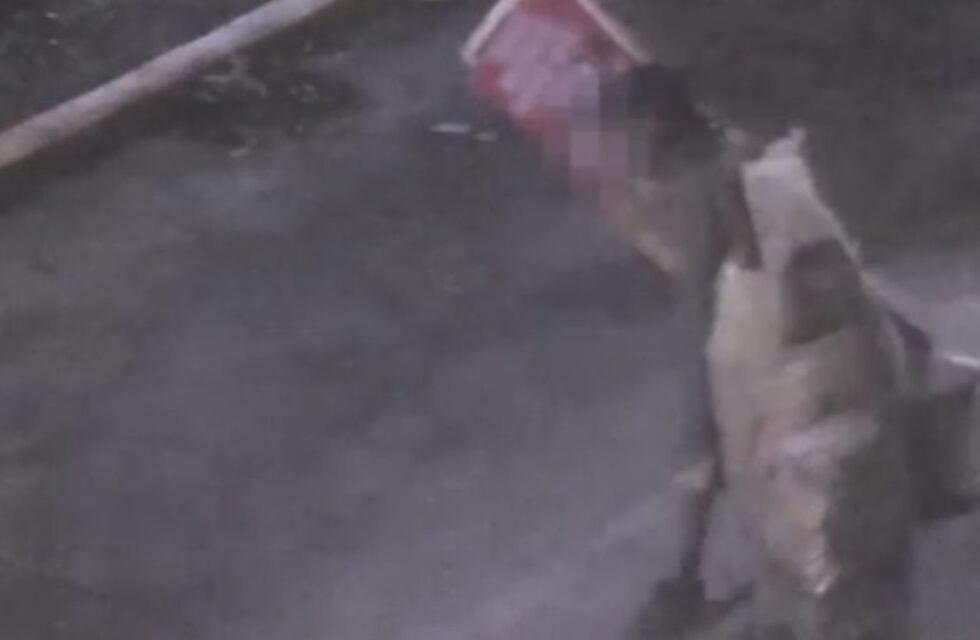 Video: detuvieron a un hombre en la vía pública por robar los carteles de un comercio en Córdoba