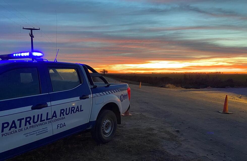 Insólito en Córdoba: se robaron un ternero y tres lechones en un Renault 12
