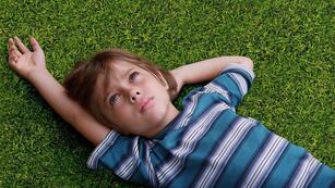 Tardaron 11 años en grabarla y tiene más de 15 premios: la película que la rompe en Star Plus.