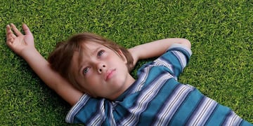 Tardaron 11 años en grabarla y tiene más de 15 premios: la película que la rompe en Star Plus.