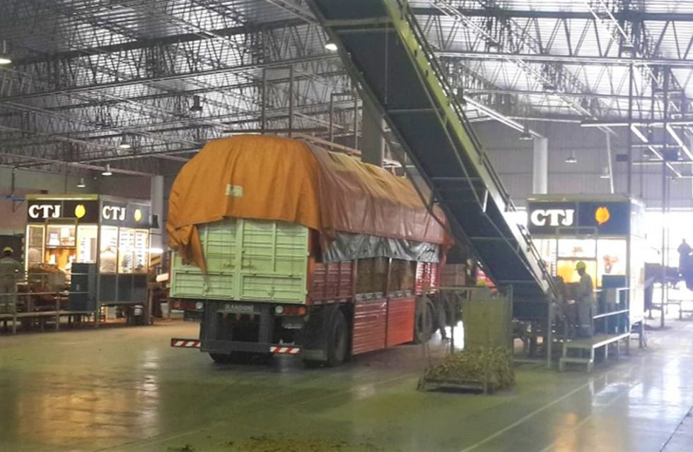 Cooperativa de Tabacaleros de Jujuy anunció mejora en el precio de acopio