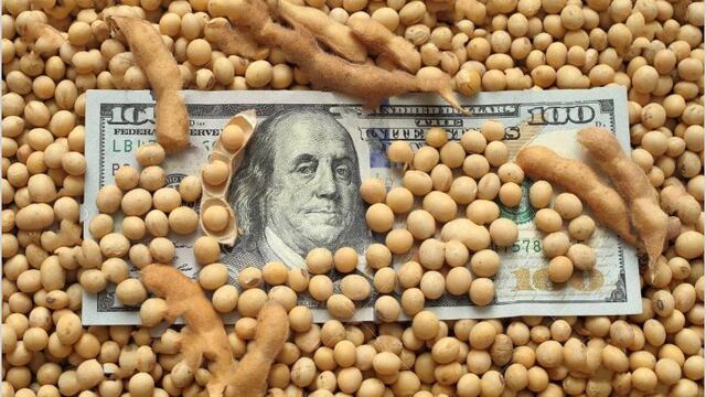 El dólar soja, para especuladores, no para productores