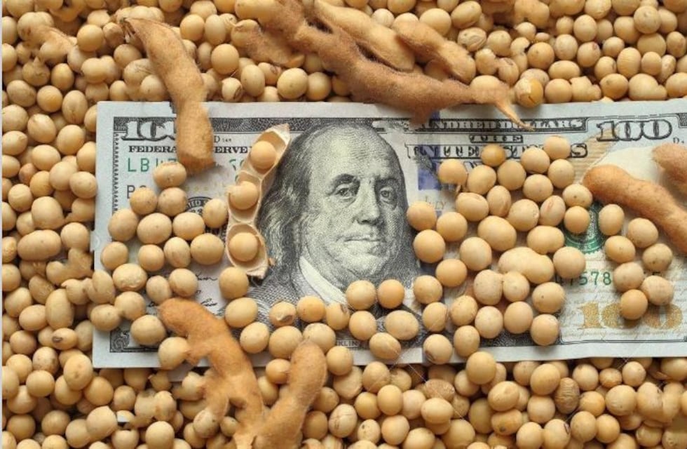 El dólar soja, para especuladores, no para productores