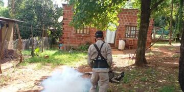 Realizaron operativos de fumigación contra la leishmaniasis en Puerto Iguazú.