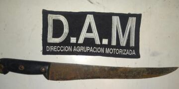 Detienen a un joven acusado de robar en Posadas.