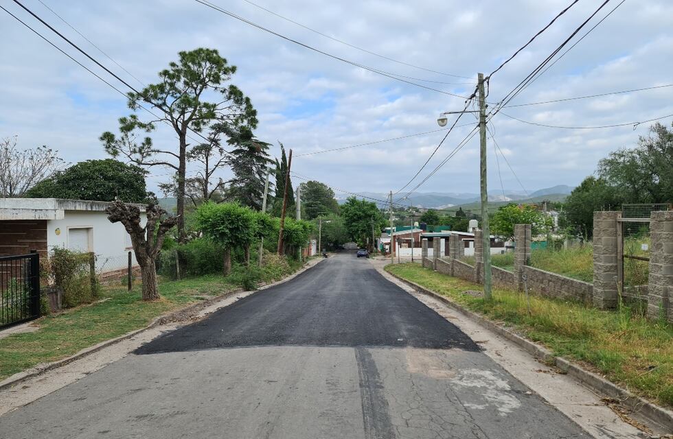 Un motociclista murió al chocar con un árbol en el interior de Córdoba: su acompañante, grave
