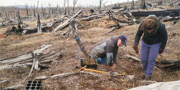 Iniciaron la restauración de bosques afectados por incendios forestales