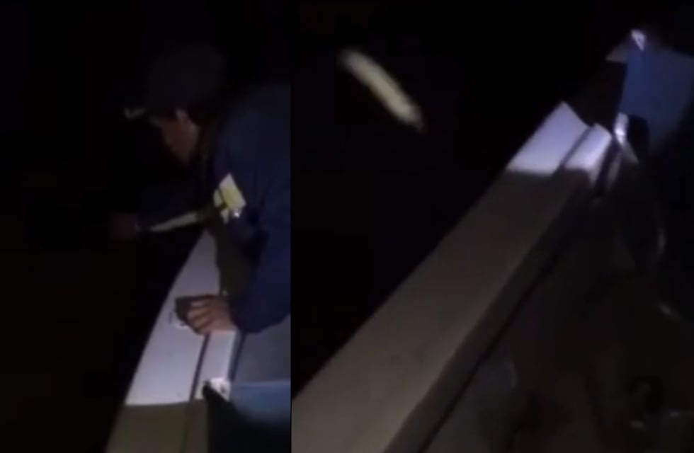 Terror cordobés: estaban pescando y se toparon con un feroz depredador