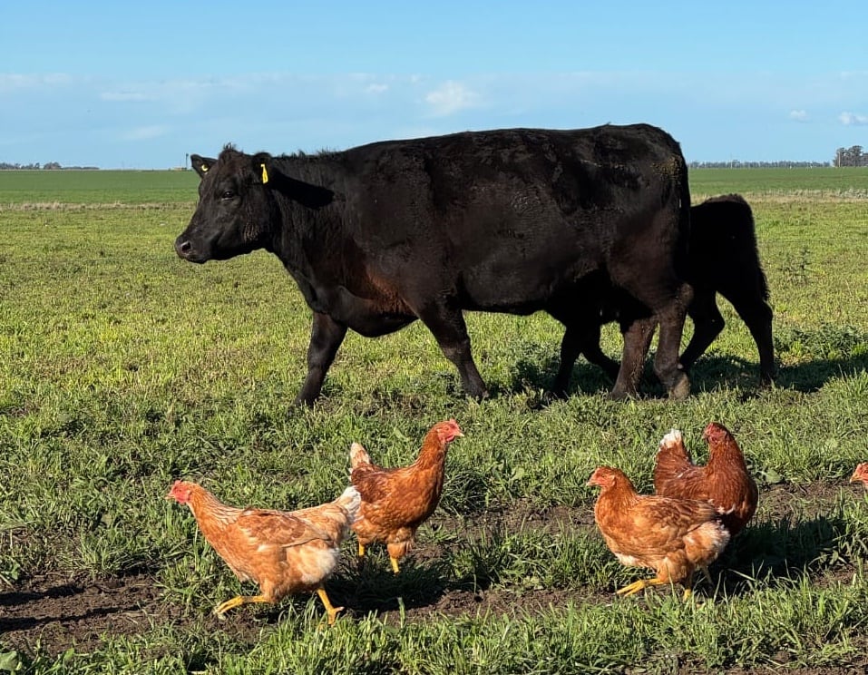 Tres Arroyos se suma a la Red Nacional de Municipios Agroecológicos