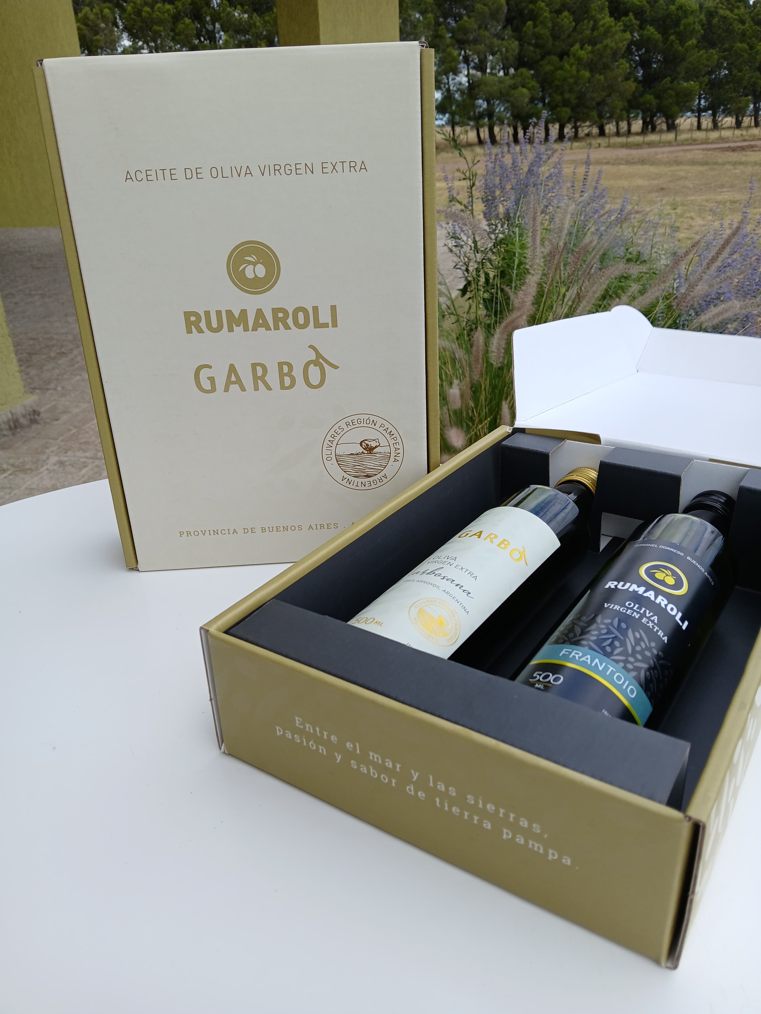 María Saavedra: “Tres Arroyos tiene condiciones excepcionales para producir aceite de oliva y vinos de calidad”