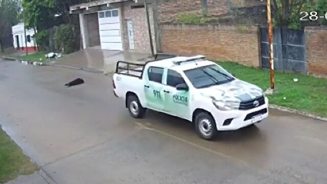 Indignación por un policía que intencionalmente atropelló y mató a un perro en Corrientes. / Foto: captura de video.