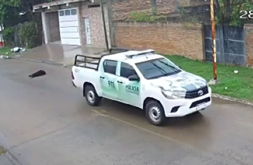 Detuvieron al policía que atropelló y mató al perro de Corrientes