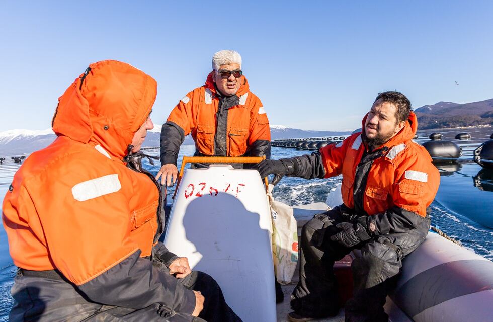 Consolidan el desarrollo de infraestructura productiva en Tierra del Fuego