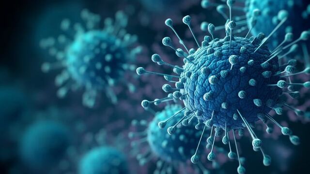 El COVID-19 volvió a explotar en los buscadores de Google.