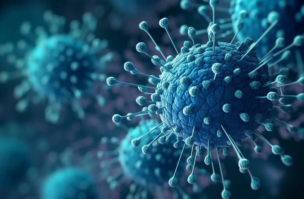 Se dispararon las búsquedas de Google sobre el COVID-19 y las vacunas en enero y el interés sigue en febrero: la razón