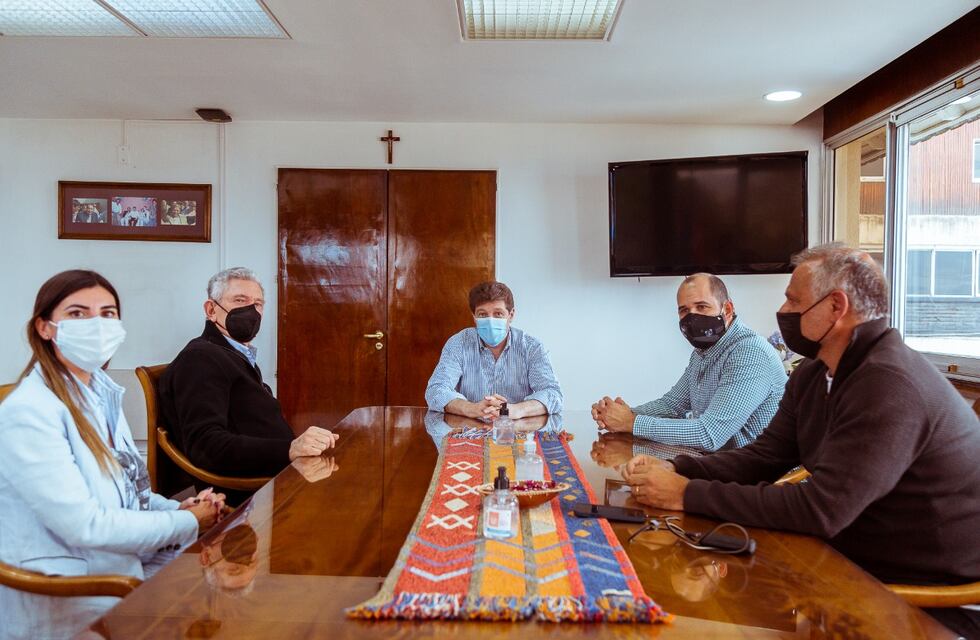 Gustavo Melella dialogó con representantes de Newsan sobre la prorroga del Subregimen Industrial