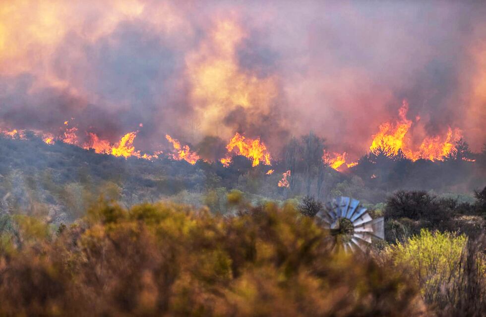 Incendios trágicos: en Punilla se quemaron más de 42 mil hectáreas