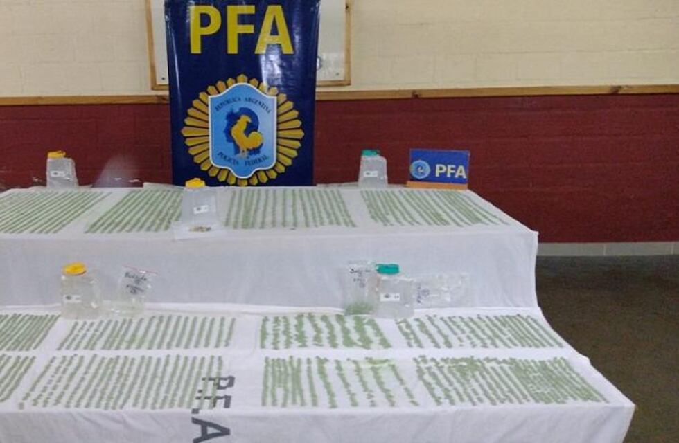 Secuestran más de cuatro kilogramos de éxtasis en Eldorado