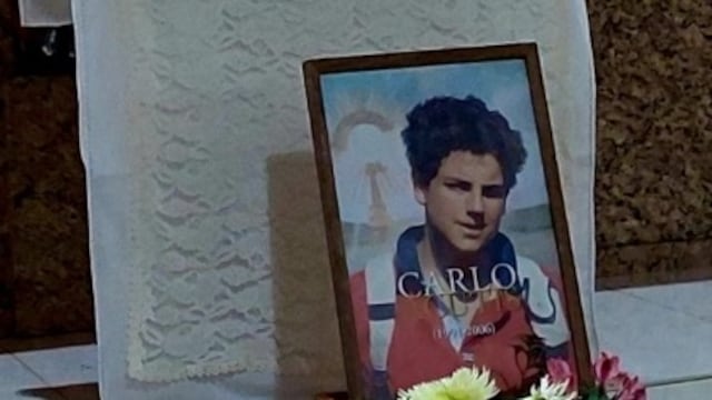 La reliquia del Beato Carlo Acutis será expuesta en Puerto Iguazú.