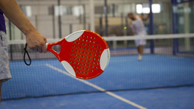 Los jugadores estaban en un encuentro de pádel cuando apareció el animal en Córdoba.