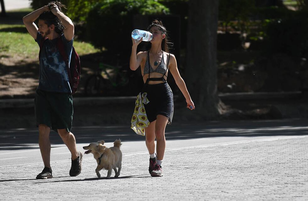 Clima en Mendoza: mucho calor para lo que resta del finde largo