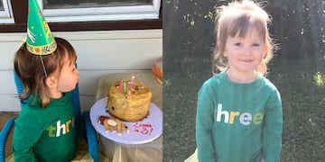Cumplió tres años y pidió una torta de la muerte de Mufasa del Rey León