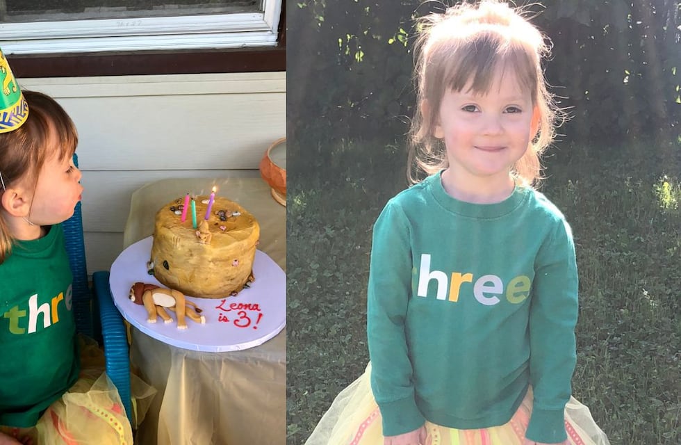 Cumplió 3 años y pidió su torta sobre la muerte de Mufasa en el Rey León por un original motivo