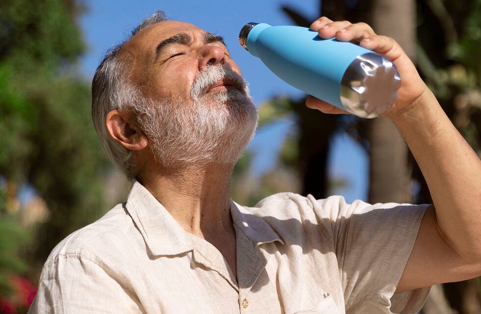 Recomendaciones para evitar golpes de calor en los animales