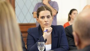 La diputada provincial socialista Lionella Cattalini