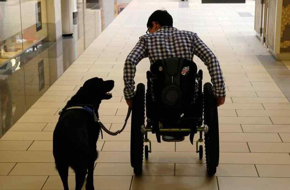 Córdoba: extienden por un año el vencimiento del certificado único de discapacidad