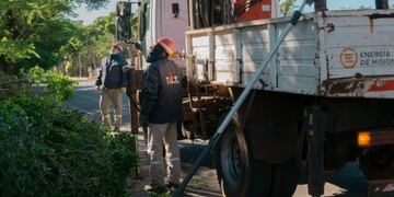 Energía de Misiones se encuentra realizando podas en varias localidad.