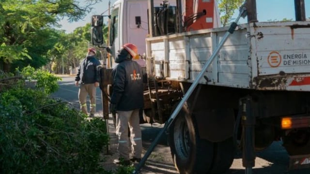 Energía de Misiones se encuentra realizando podas en varias localidad.