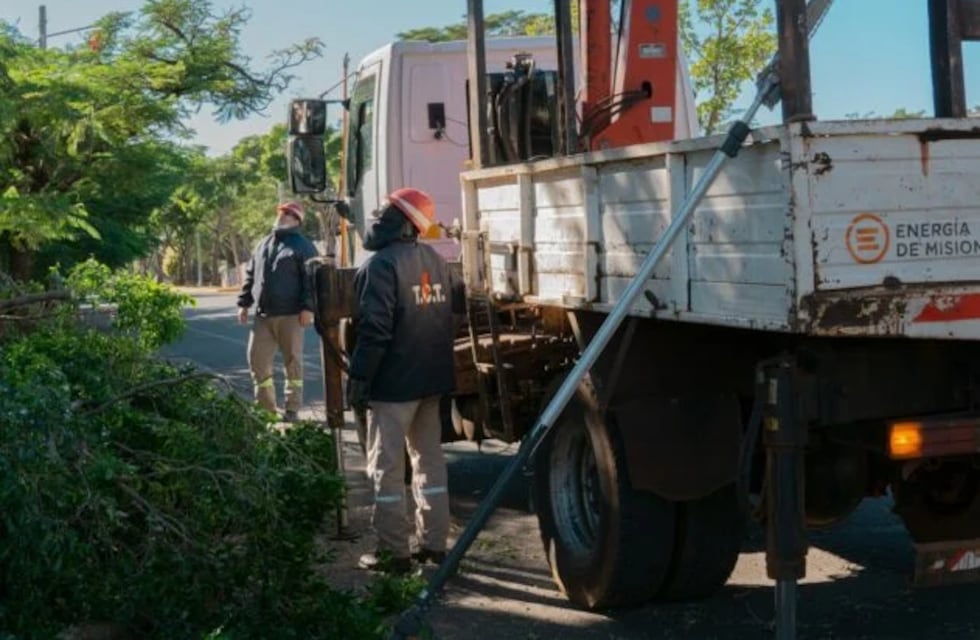 Energía de Misiones se encuentra realizando podas en varias localidad