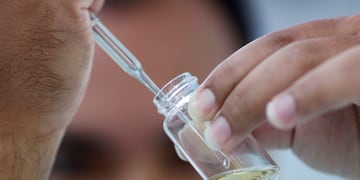 De la planta de marihuana se extrae el cannabidiol y otros compuestos orgánicos con propiedades terapéuticas.