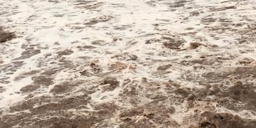 La abundante lluvia que precipitó en San Rafael aumentó exponencialmente el caudal del río Diamante.