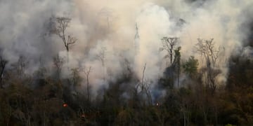 El humo, denso y pesado, asciende por el aire y satura la atmósfera de las Yungas, en el departamento Ledesma, Jujuy.