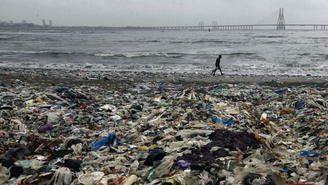 Preocupa la degradación de los océanos. (AP)