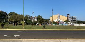 Los policías controlaron el transito para evitar que los autos atropellen a las aves.