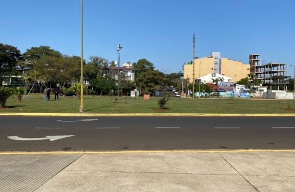 Policías resguardaron a una pareja de teros y a sus crías en la Costanera de Posadas